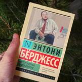 Обложка книги «Мистер Эндерби: взгляд изнутри»